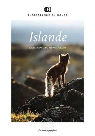 Couverture carnet de voyage photo islande renard polaire