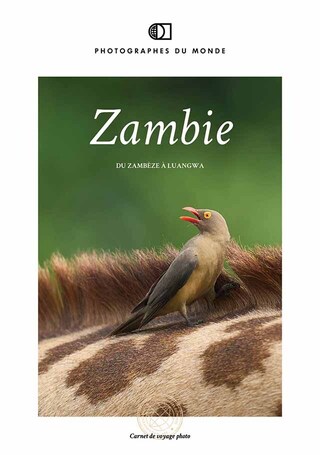 Couverture carnet de voyage photo Zambie avec Guillaume Astruc