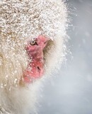 adobestock 1114039298