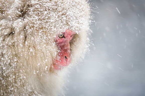 adobestock 1114039298