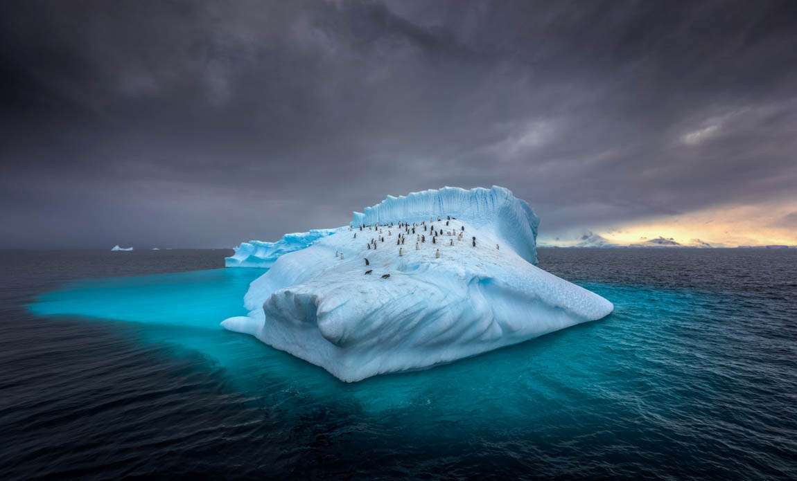 expedition photo antarctique 235904497