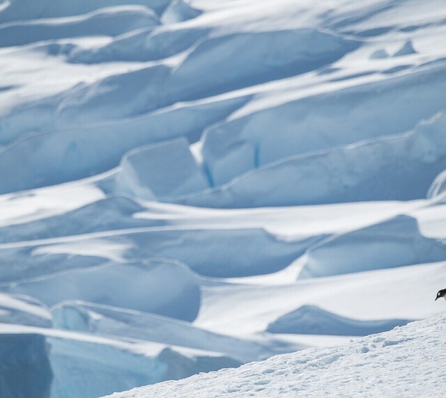 expedition photo antarctique benoist clouet promo 2