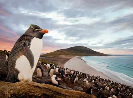 expedition photo falklands promo 22