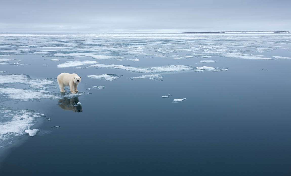 expedition photo spitzberg hiver galerie 13