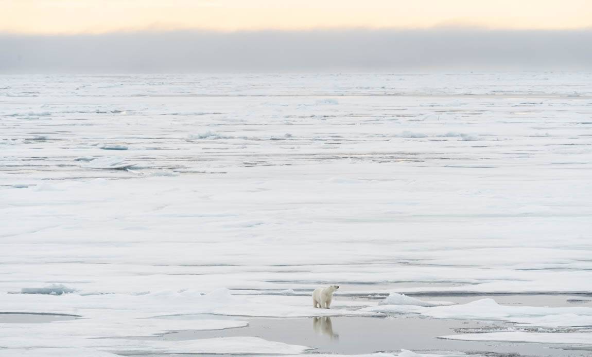 expedition photo spitzberg hiver ophelie bleunven galerie 3