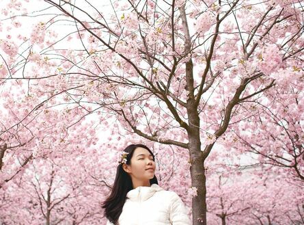 japon 2