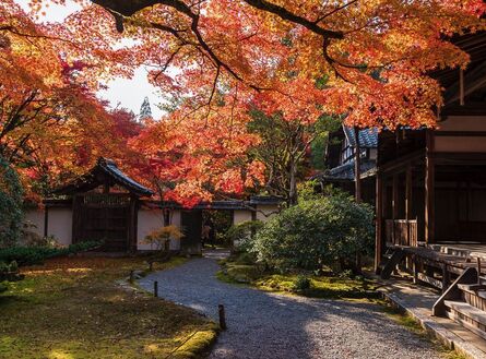 japon 82