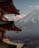 japon pdm25 hd 80