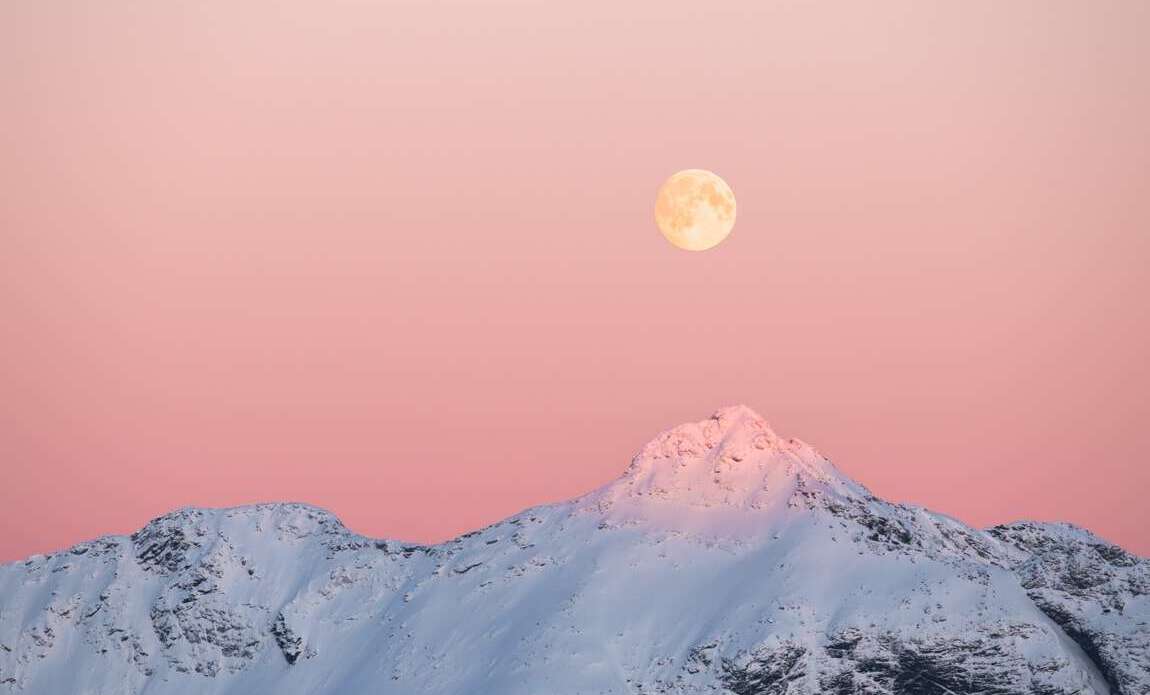 lofoten nohcab 20