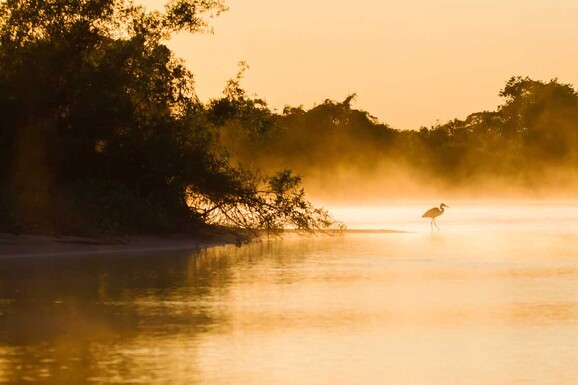 pantanal 2 1150x745