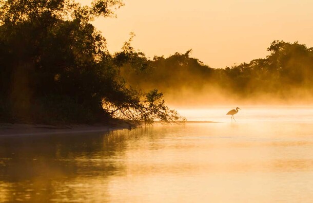 pantanal 2 1150x745