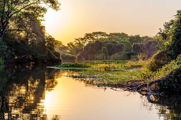 pantanal 3 1150x745