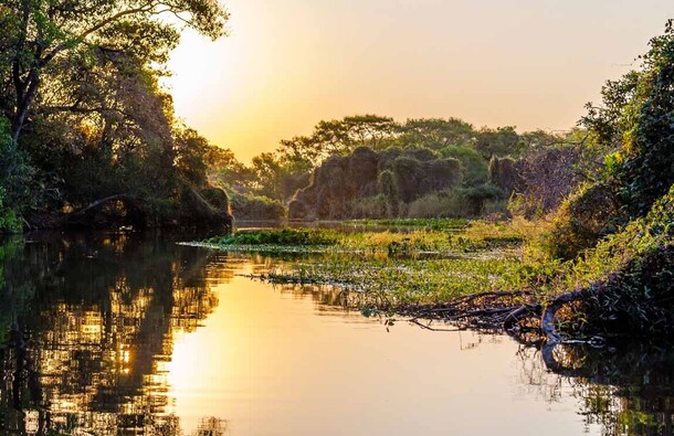 pantanal 3 1150x745