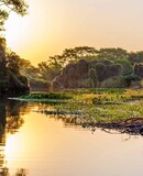 pantanal 3