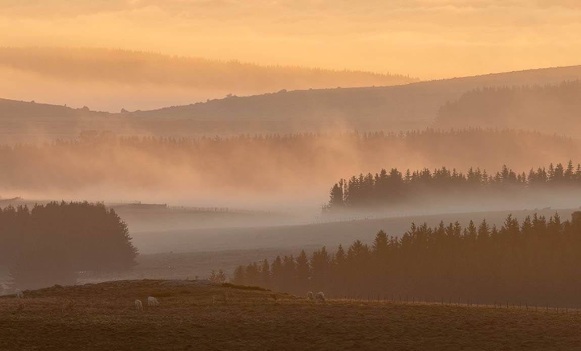 Stage photo aubrac 