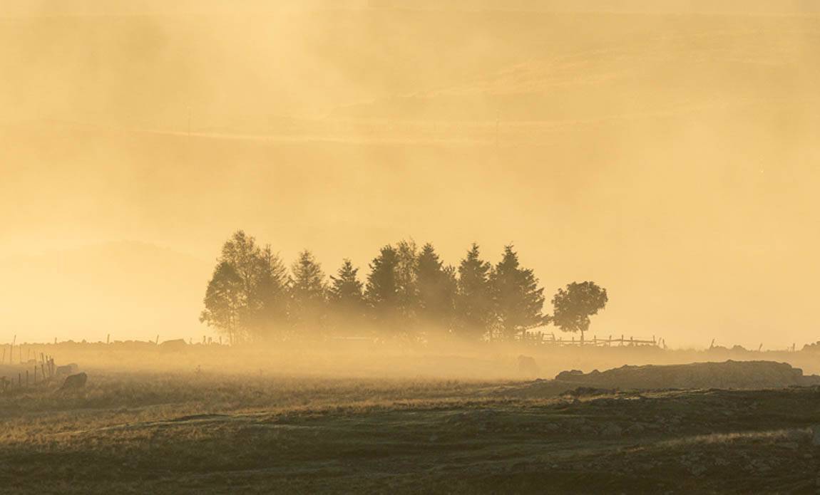 Stage photo aubrac 