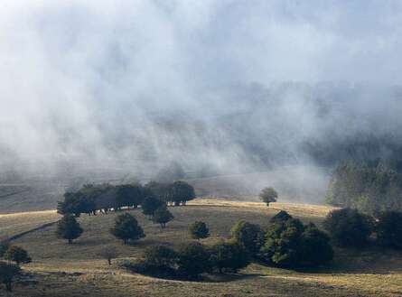 sortie photo aubrac canon vincent frances gen 4