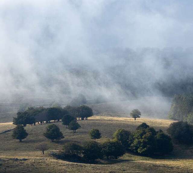 sortie photo aubrac canon vincent frances gen 4