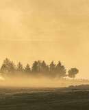 sortie photo aubrac canon vincent frances gen