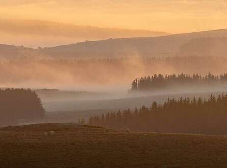 sortie photo aubrac canon vincent frances gen 8