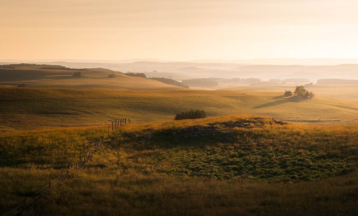 sortie photo aubrac fujifilm david henrot galerie 3