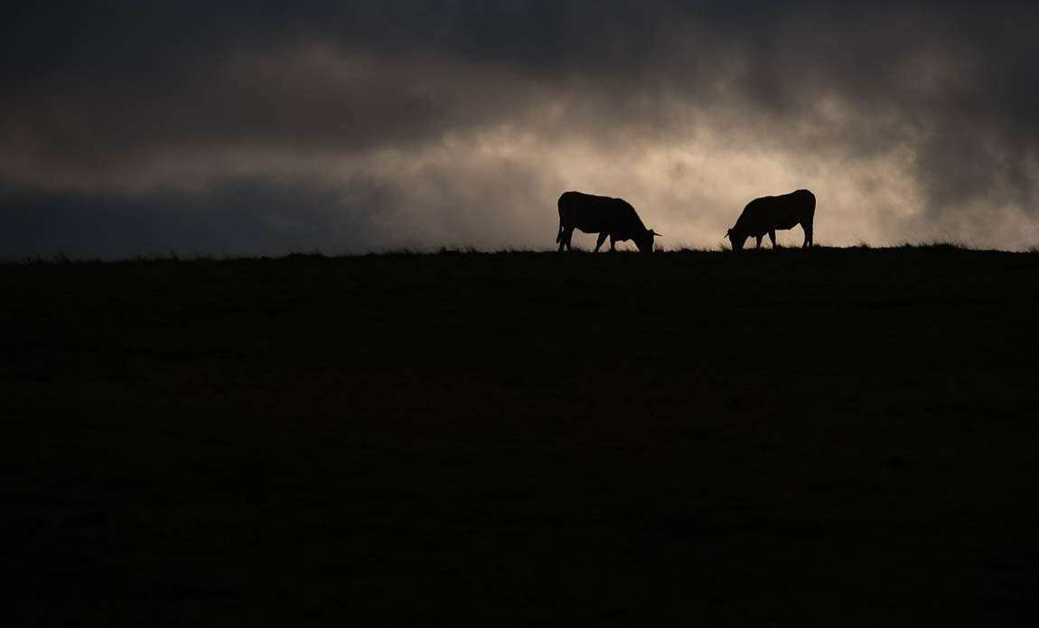 stage photo aubrac fujifilm jean michel lenoir 4