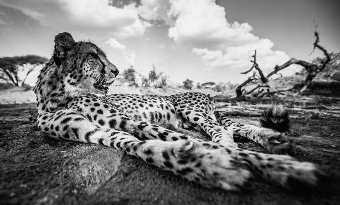 Botswana avec Valentin Pacaut