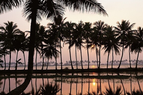 voyage photo