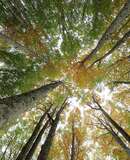 voyage photo aubrac automne jean luc