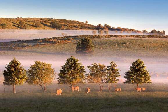 voyage photo aubrac automne jean luc girod promo 5