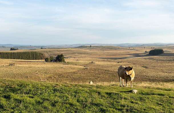 voyage photo aubrac david henrot