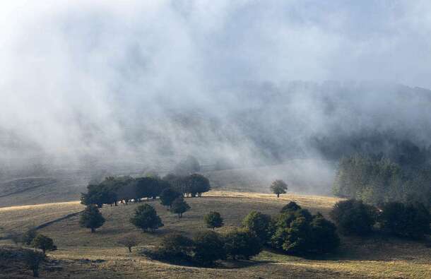 voyage photo aubrac david henrot