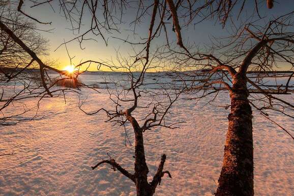 voyage photo aubrac hiver jean luc girod promo 11
