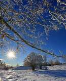 voyage photo aubrac hiver jean luc girod promo 3