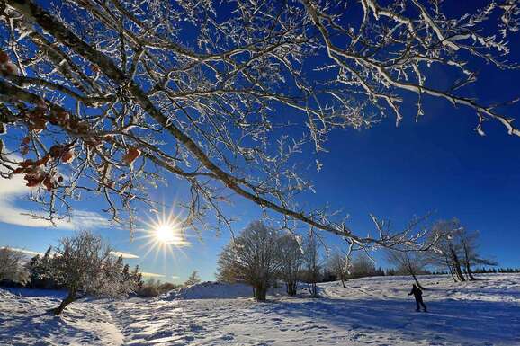 voyage photo aubrac hiver jean luc girod promo 3
