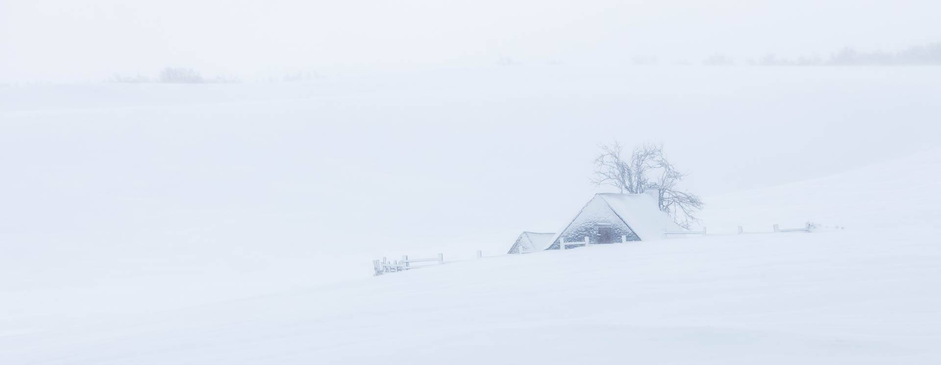 image header Aubrac en hiver