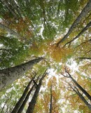 voyage photo aubrac printemps