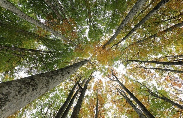 voyage photo aubrac printemps