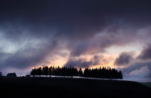 voyage photo aubrac printemps