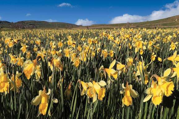 voyage photo aubrac printemps jean luc girod promo 4
