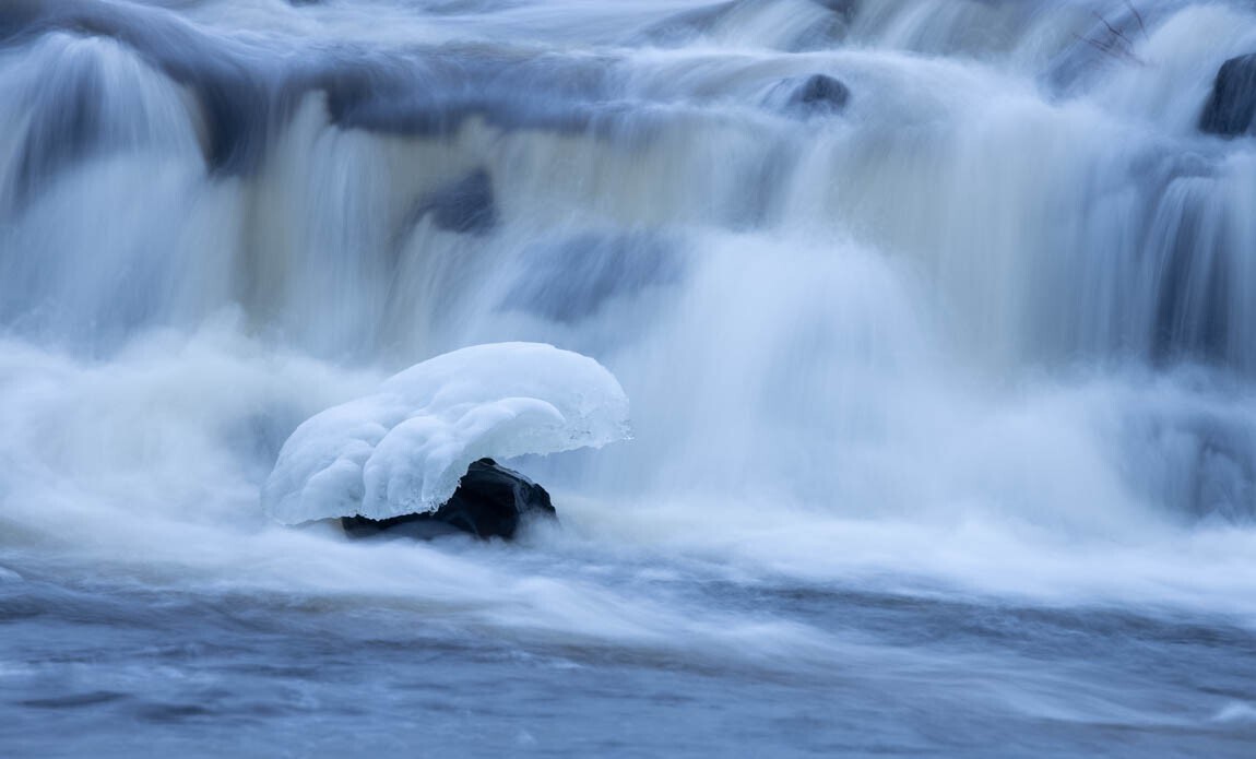 voyage photo aubrac vincent frances galerie 40