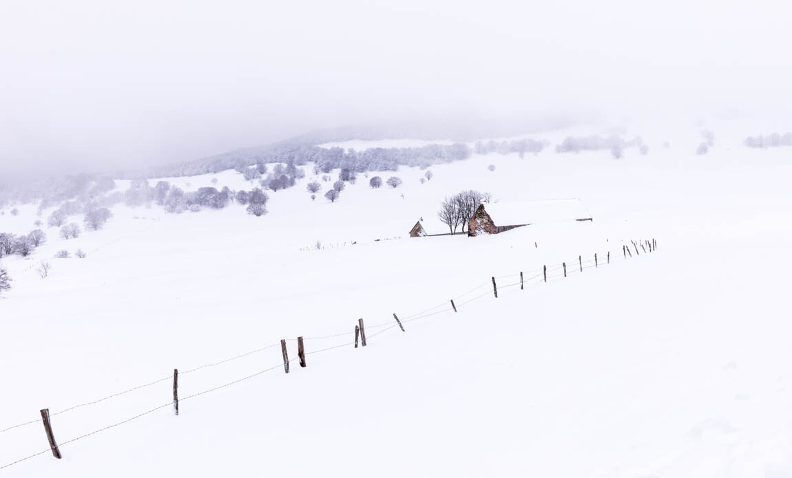 voyage photo aubrac vincent frances galerie 5