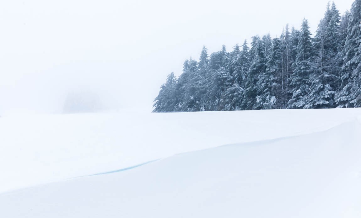 voyage photo aubrac vincent frances galerie 7