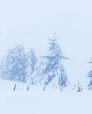 voyage photo aubrac vincent frances promo 11