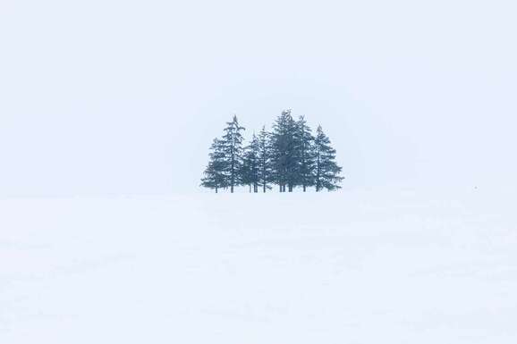 voyage photo aubrac vincent frances promo