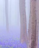 voyage photo belgique as gen