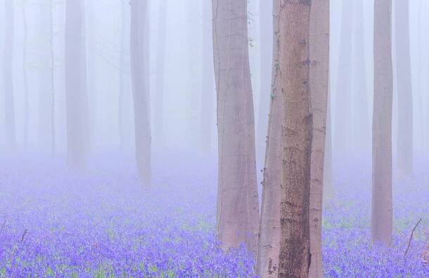 voyage photo belgique as gen