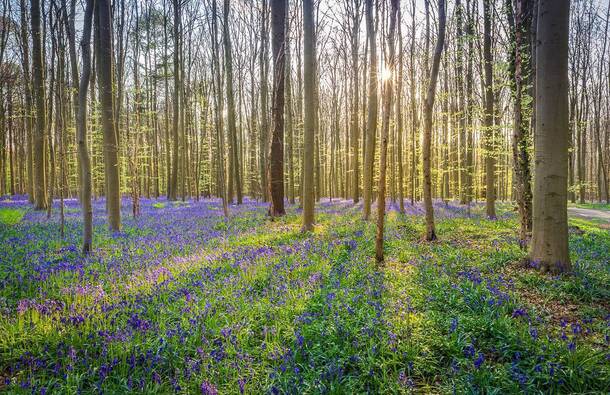 voyage photo belgique as gen