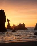 voyage photo belle ile  david henrot promo