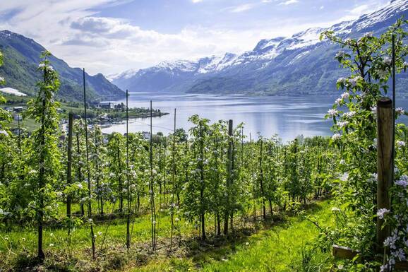 voyage photo bergen stock promo 17